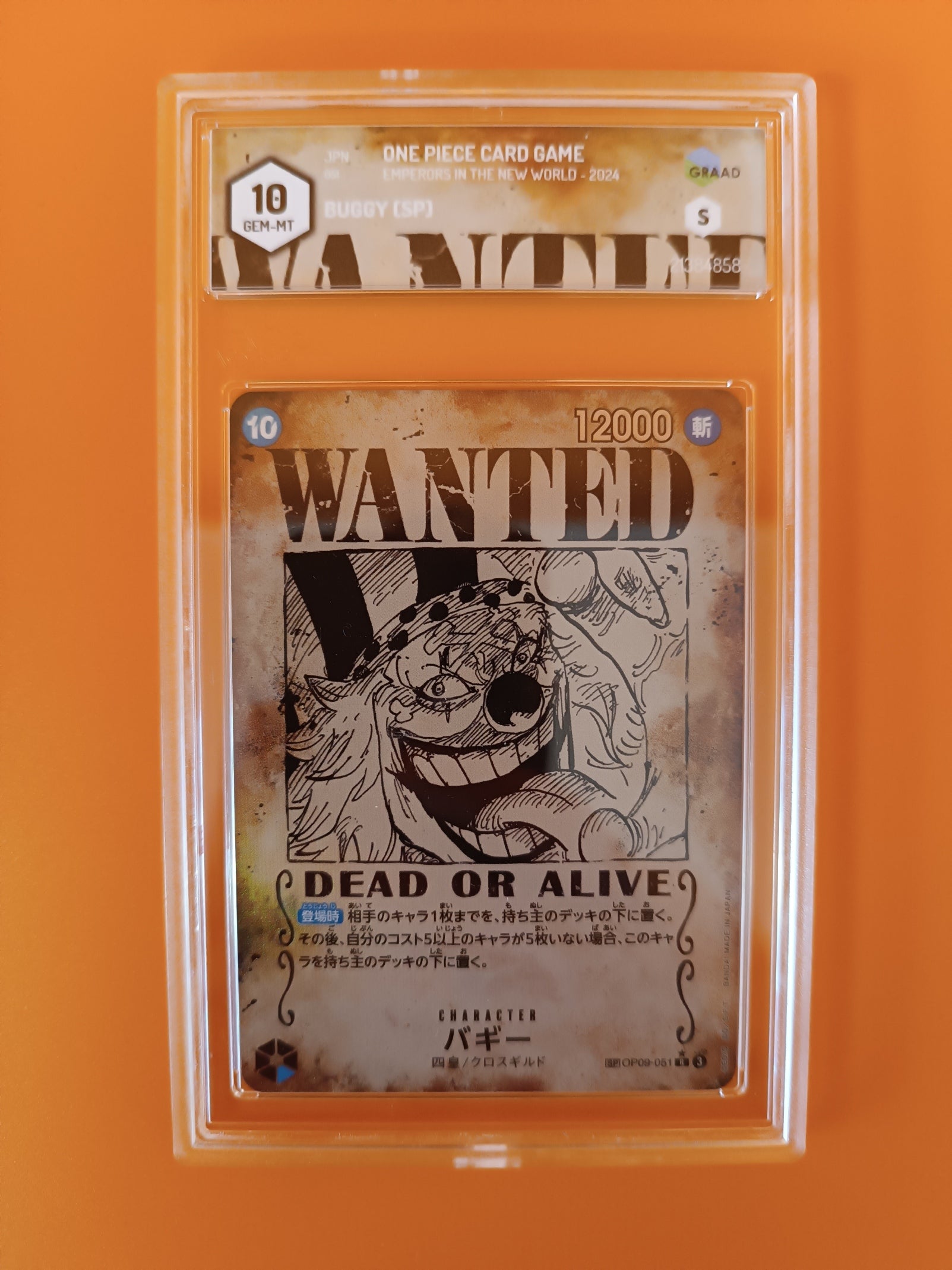 Carta gradata Buggy wanted op09-051