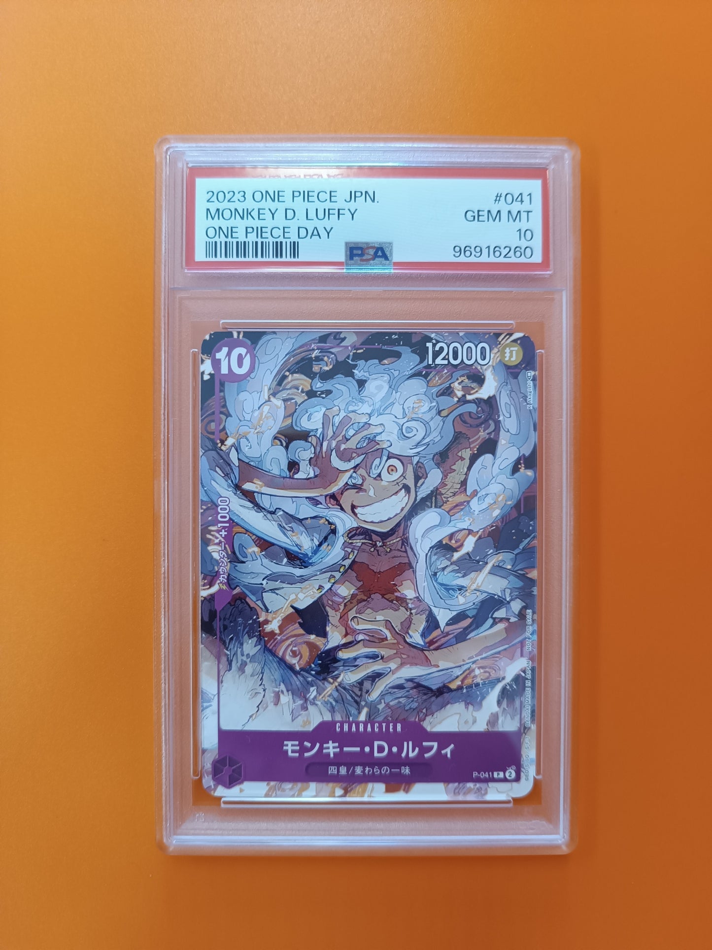 Monkey D. Luffy One Piece Day