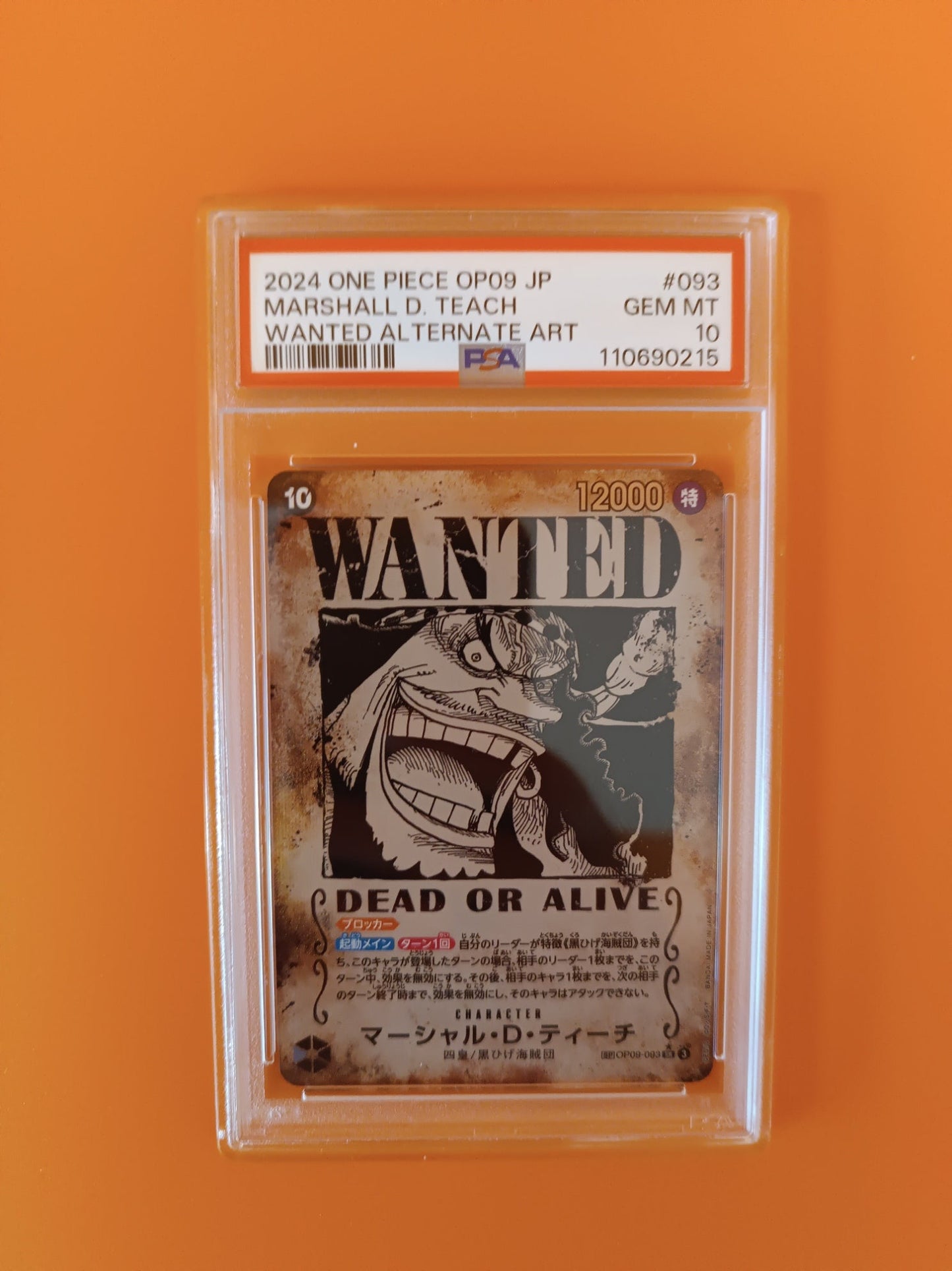 Carta gradata PSA 10 Marshall D. Teach Wanted